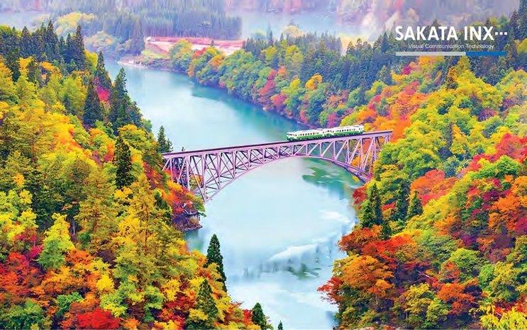 Nature's Trail to a Brighter Greener Tomorrow